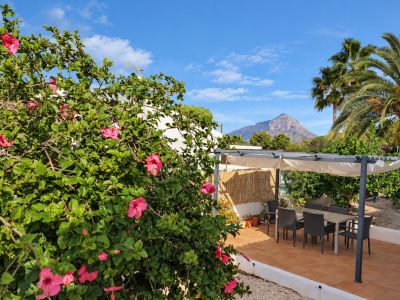 Terrace with Montgó views