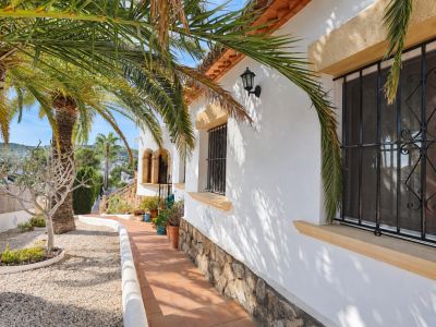 Exterior pathway and garden