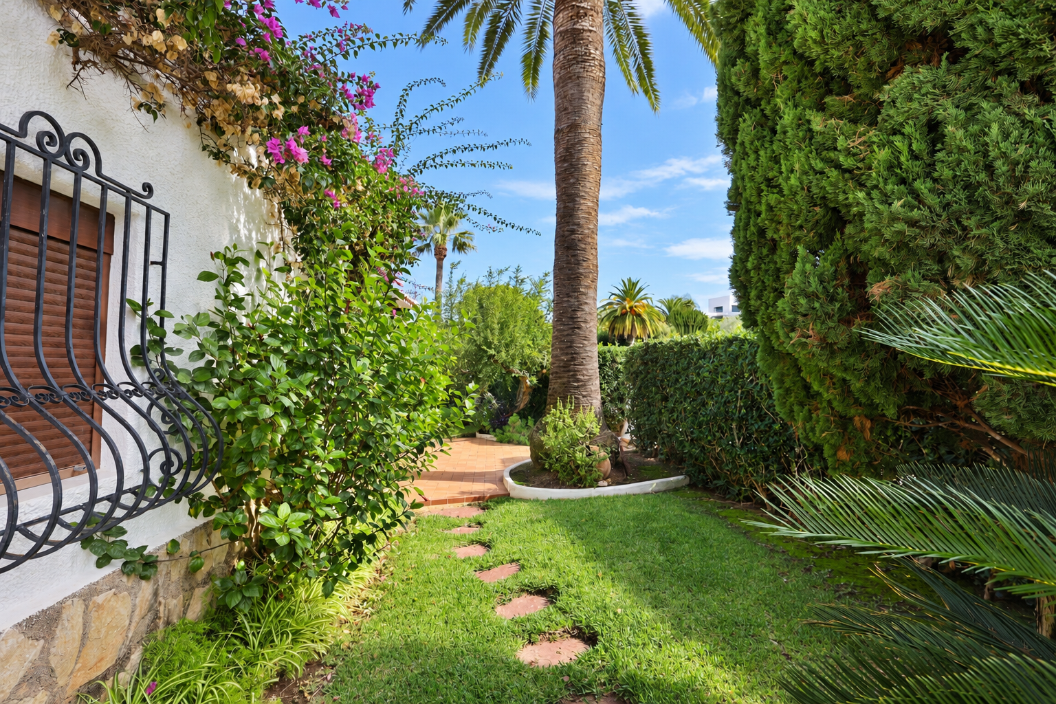 Garden with palm tree