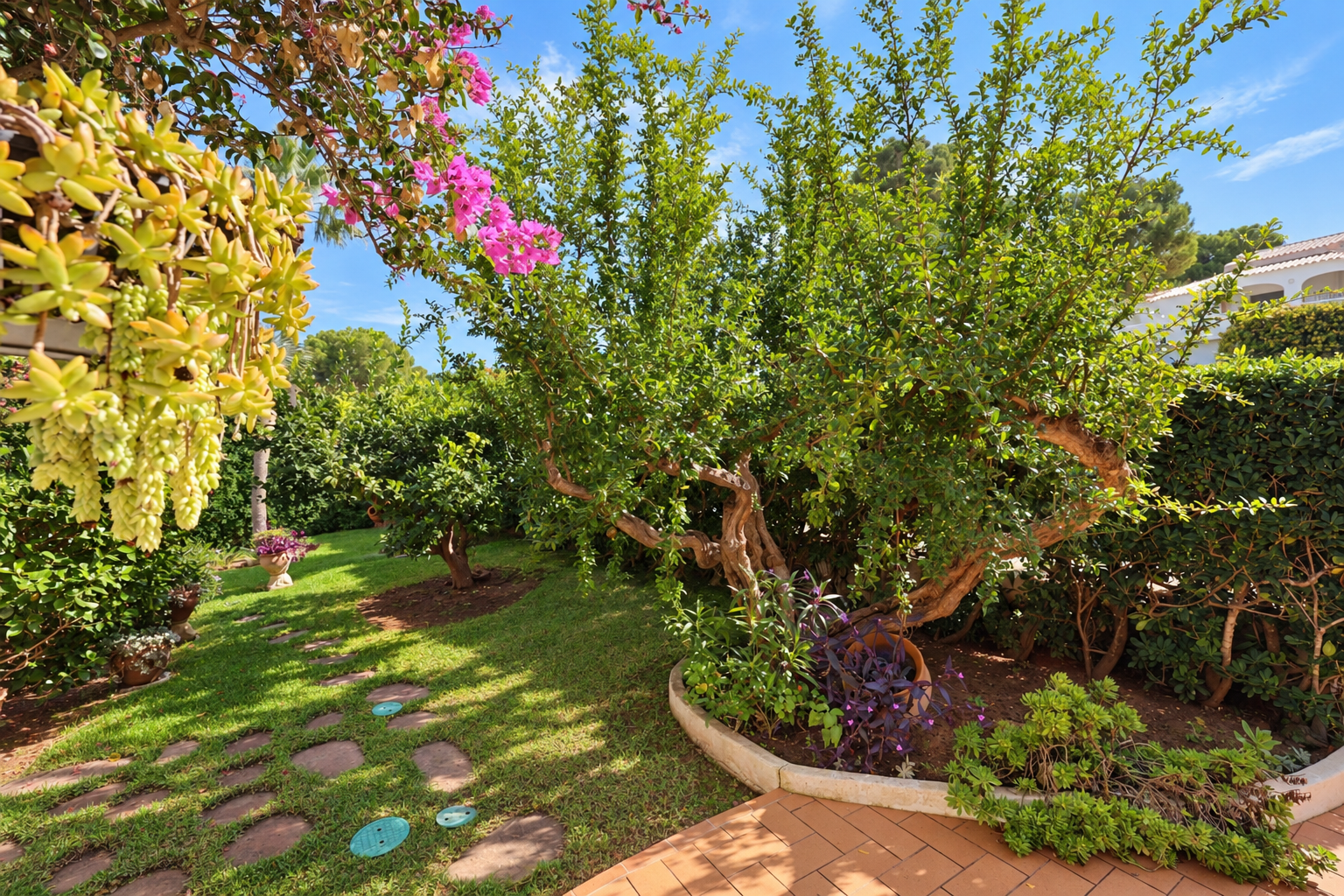 Property garden