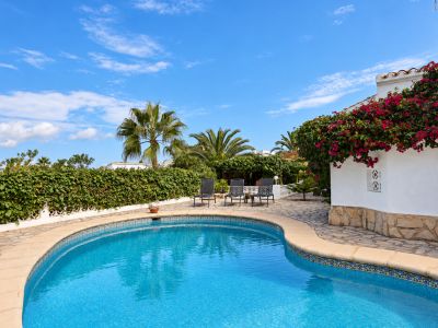 Swimming pool and terrace