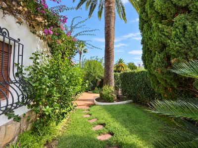 Garden with palm tree