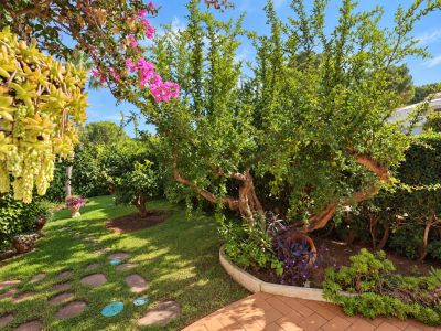Property garden