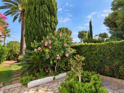 Villa garden