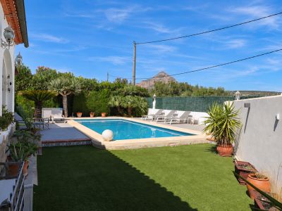 Swimming pool and garden