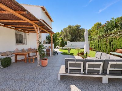 Terrace and garden