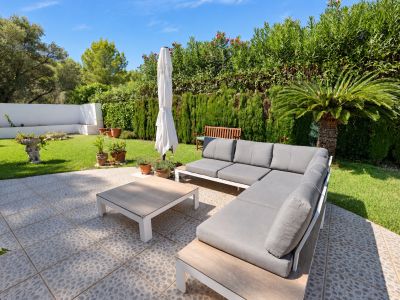 Terrace and garden
