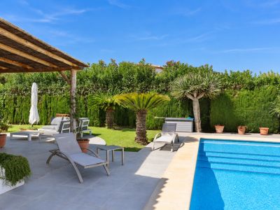 Swimming pool and garden