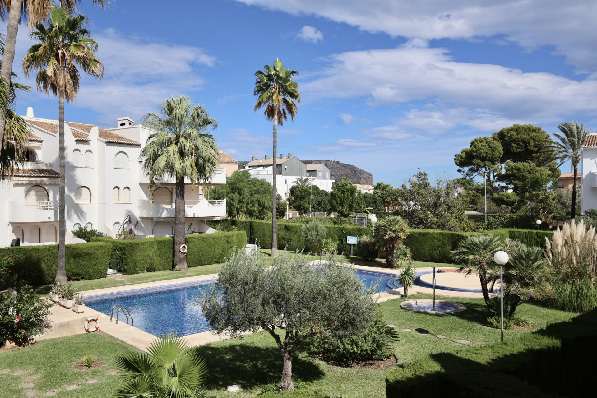 Communal pool and gardens