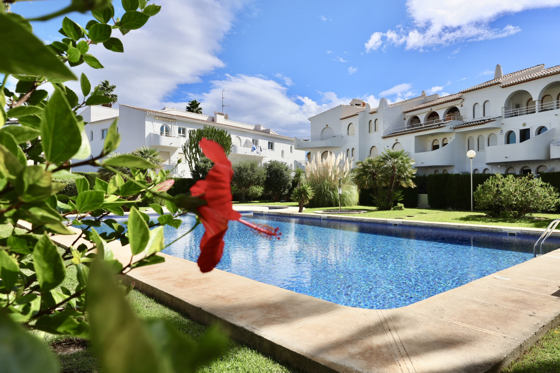 Communal pool and gardens