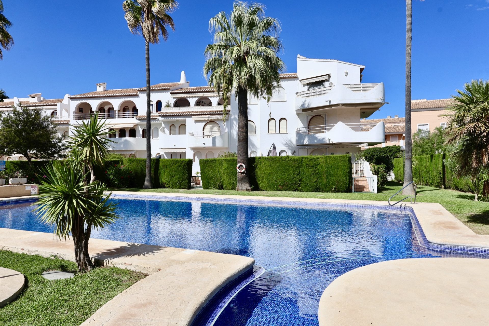 Communal pool and gardens