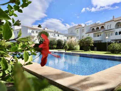 Communal pool and gardens