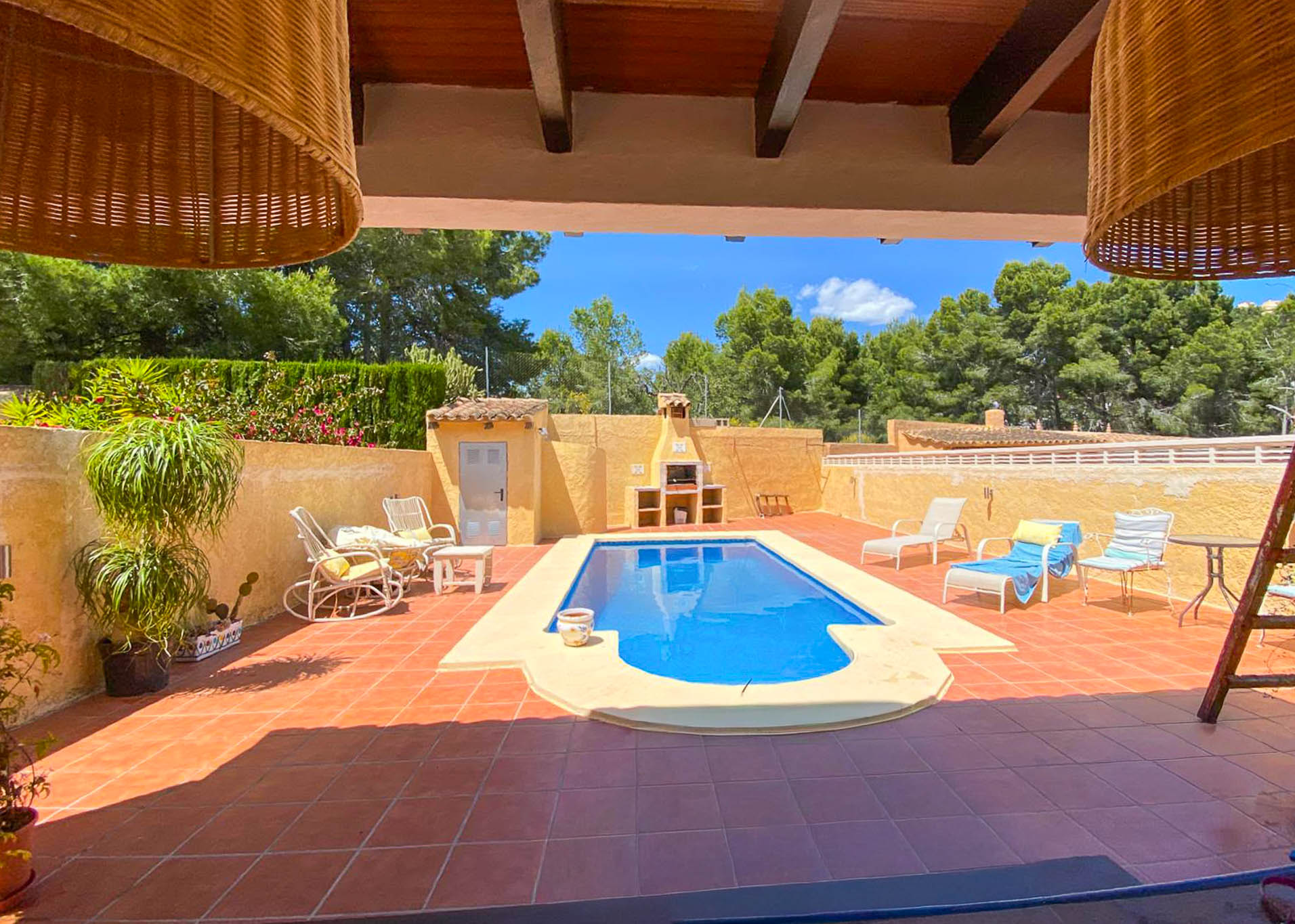 Terrace with swimming pool