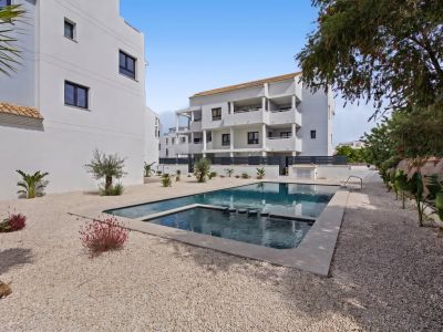 Communal pool and garden