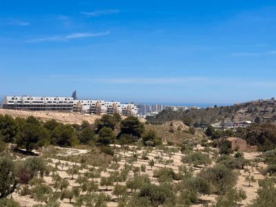 Panoramic surrounding views
