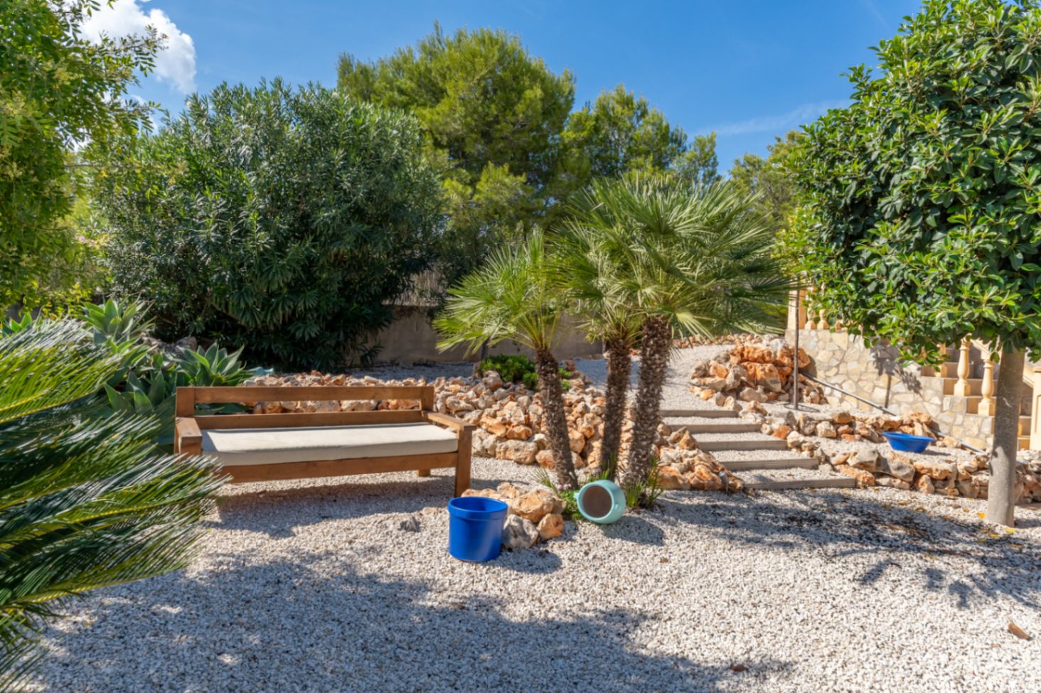 Mediterranean garden
