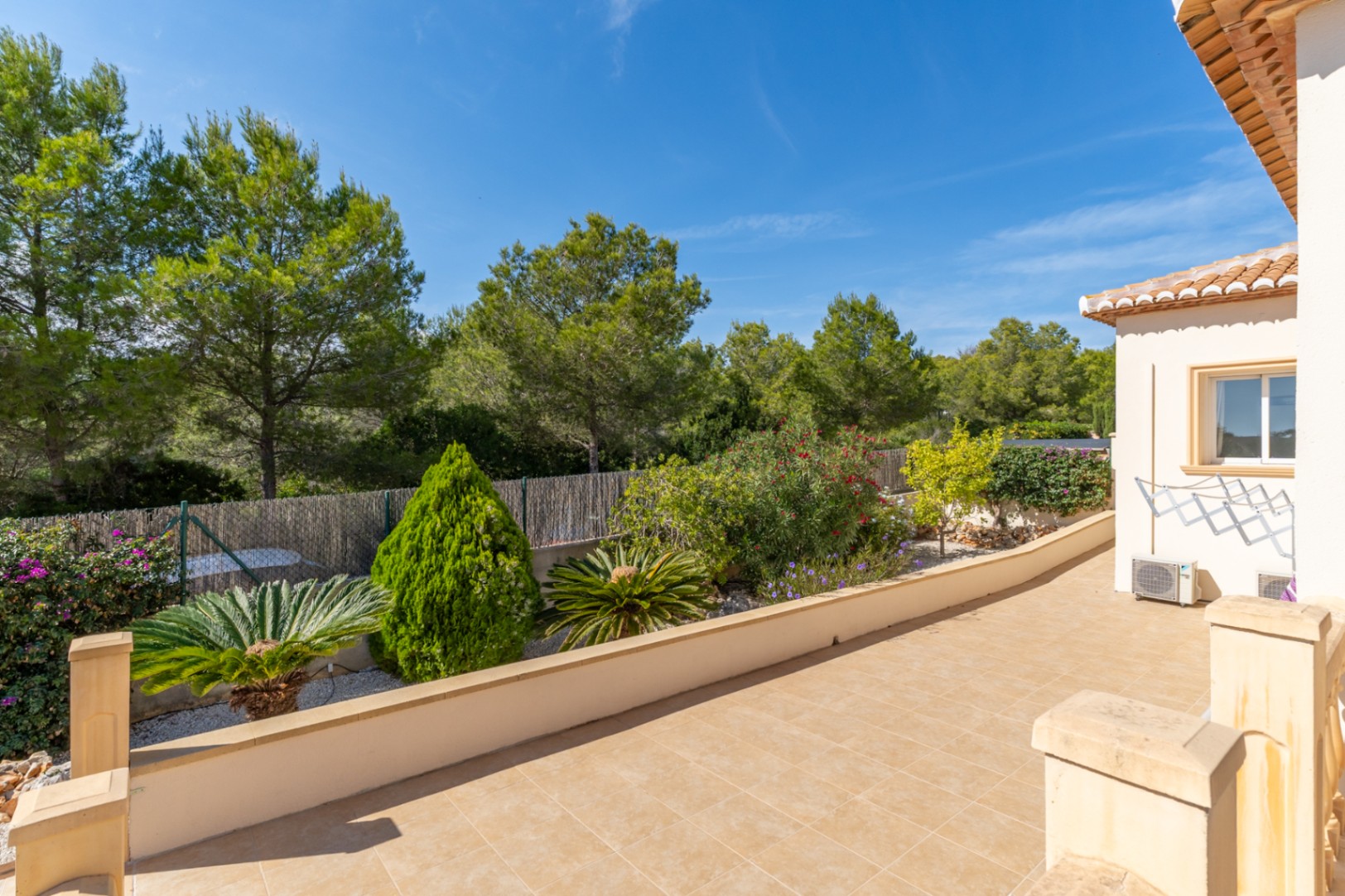 Terrace and garden