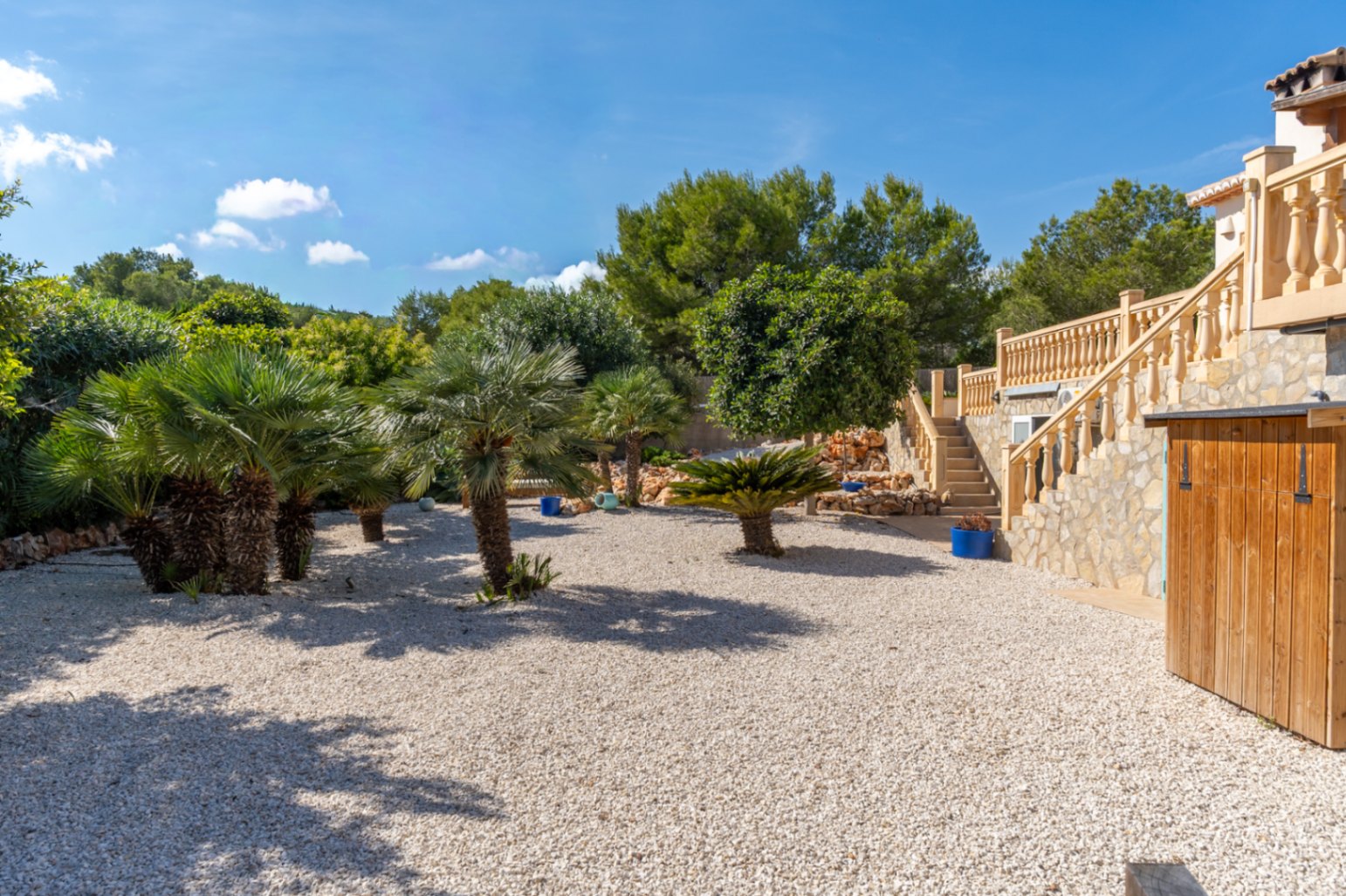 Mediterranean garden with palm trees