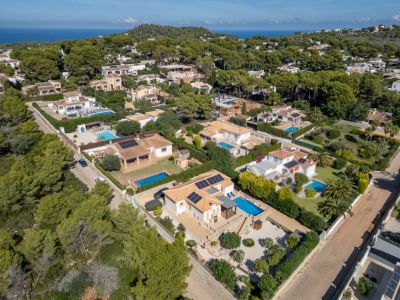 Aerial view of the villa