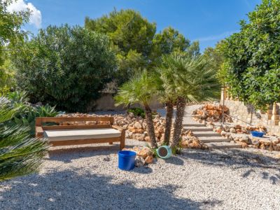 Mediterranean garden