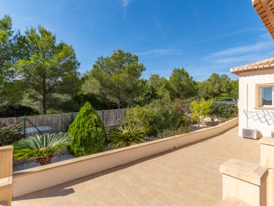 Terrace and garden