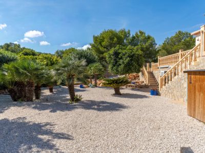 Mediterranean garden with palm trees
