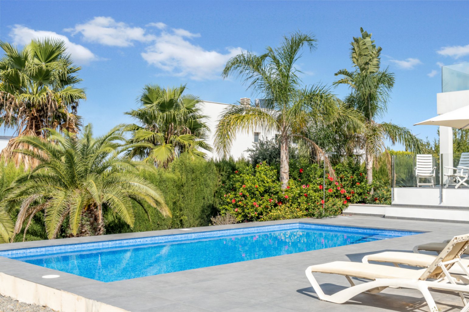 Swimming pool and garden