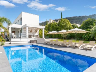 Swimming pool and terrace