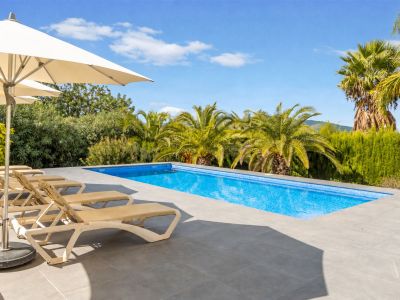 Swimming pool and terrace