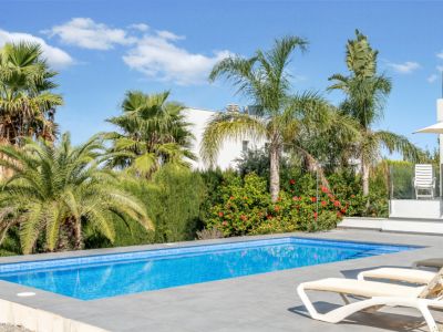 Swimming pool and garden