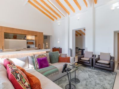 Living room and open kitchen