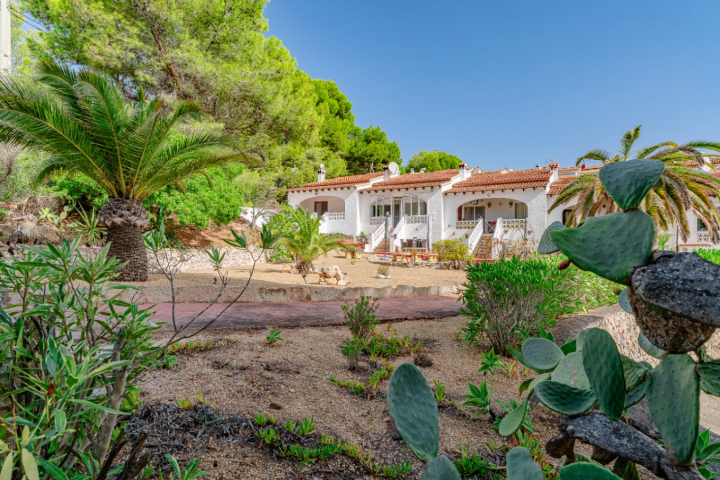 Bungalow exterior and garden