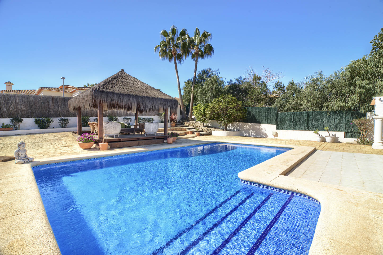 Swimming pool and pergola