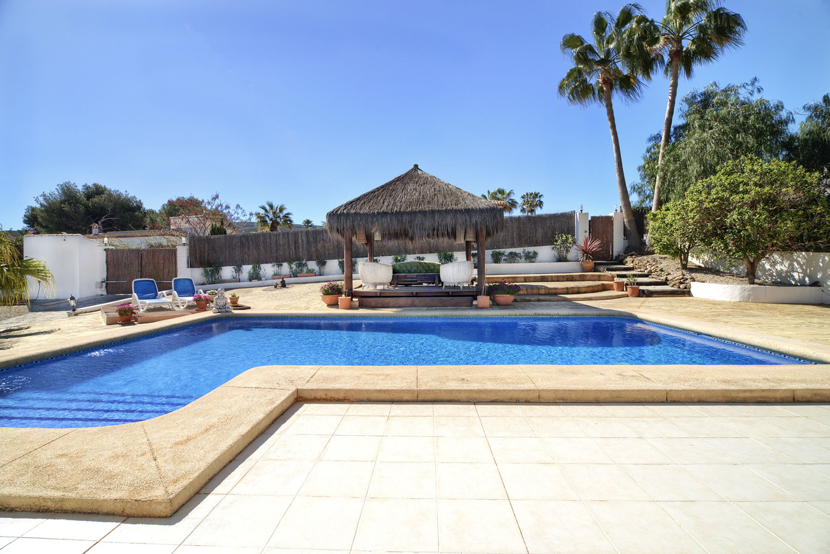 Swimming pool and pergola