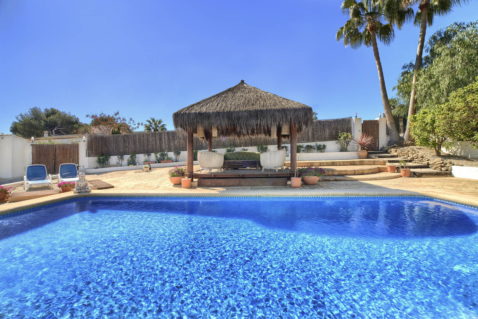 Swimming pool and pergola