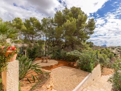 Garden with views