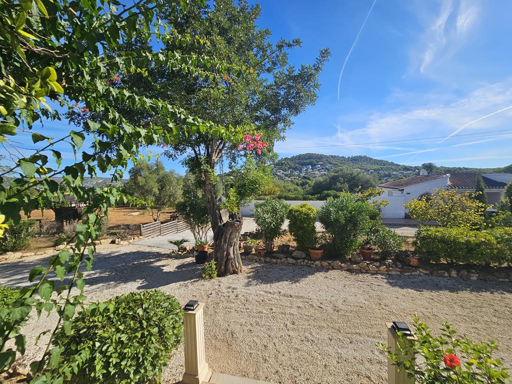 Garden with mountain views
