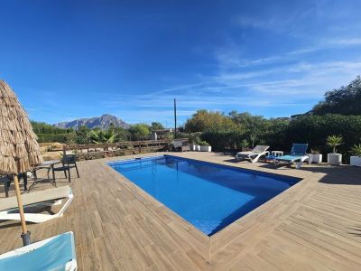 Swimming pool and terrace