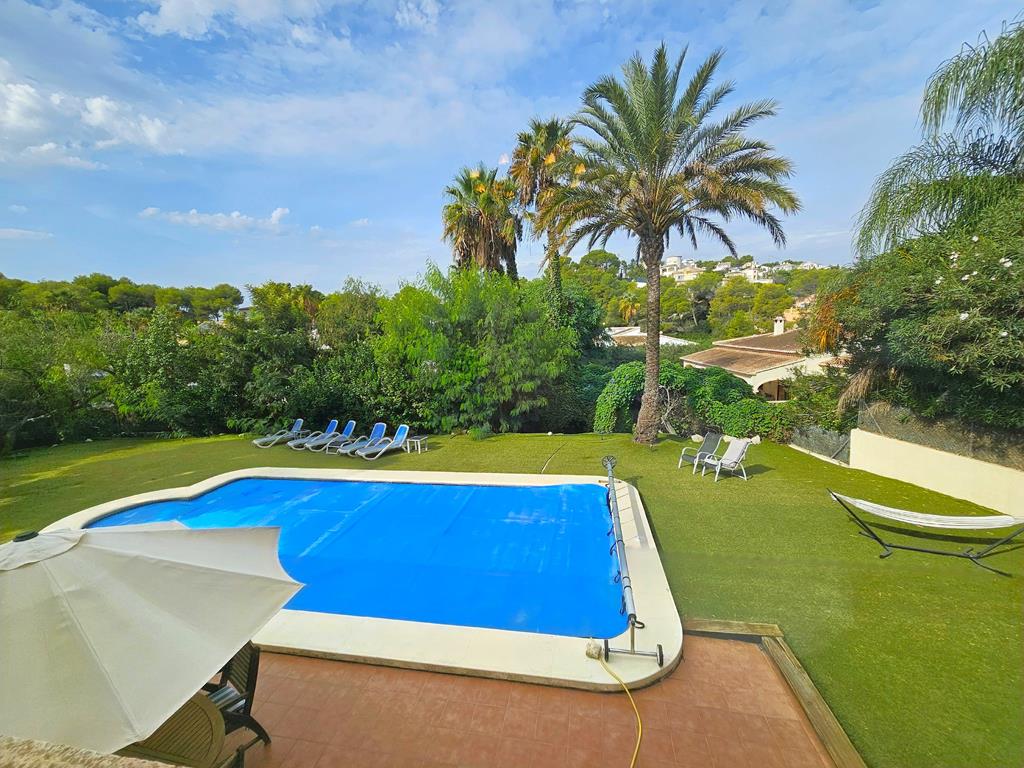 Swimming pool and garden