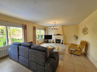 Living room with fireplace