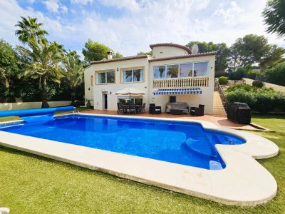 Swimming pool and garden