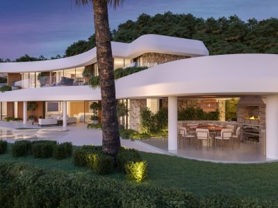 Covered terrace and garden
