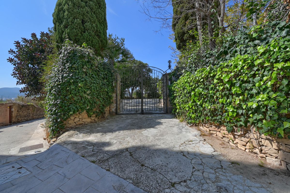 Entrance featuring a black wrought-iron gate flanked by stone walls covered in dense ivy and mature cypress trees under a clear sky.