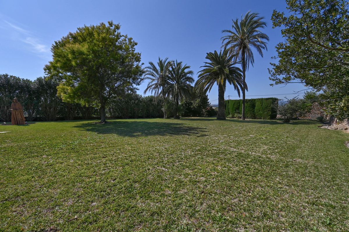 Extensive manicured lawn surrounded by mature palm trees and deciduous greenery, featuring a decorative statue and privacy hedging.