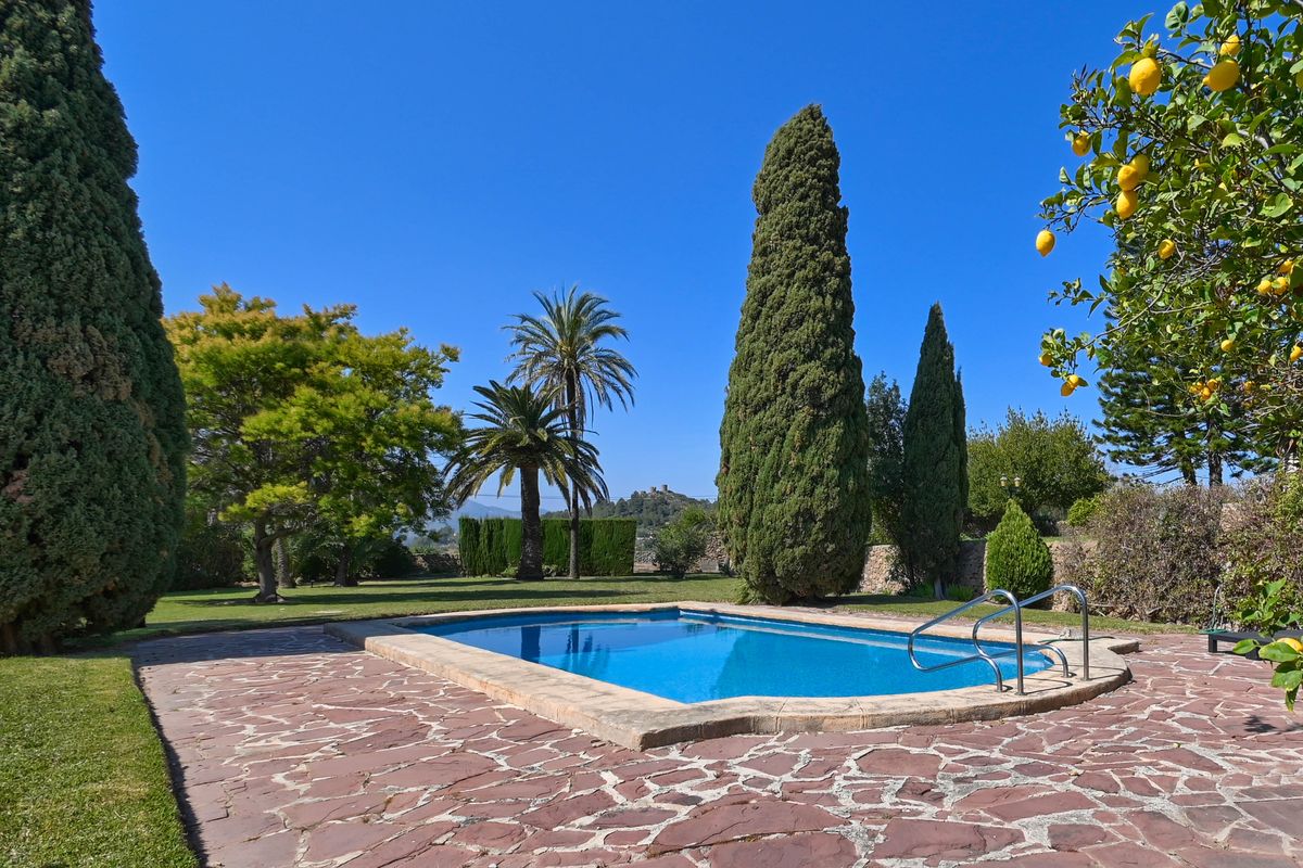 Outdoor swimming pool with an irregular stone terrace, bordered by manicured lawns, tall cypress trees, and a lemon tree in fruit.