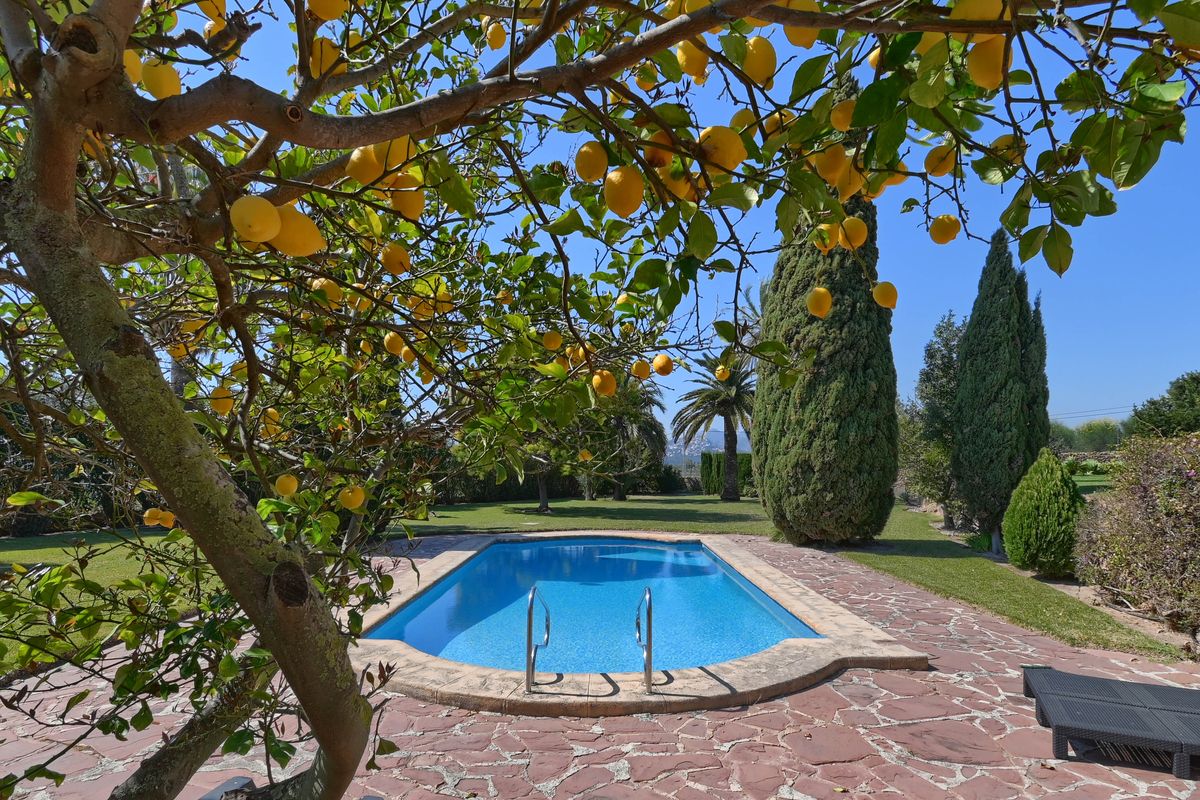 Private swimming pool surrounded by a natural stone terrace and lawn, framed by a productive lemon tree and mature Mediterranean cypress trees.