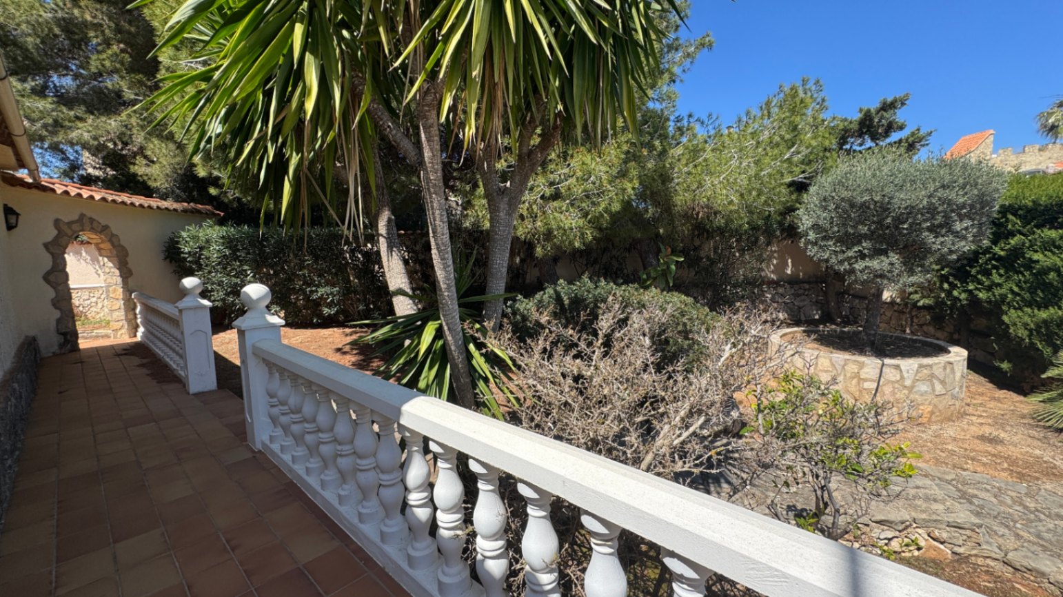 Terrace with terracotta tiles and a classic white balustrade overlooking a Mediterranean garden with palm trees and a stone-encased olive tree.