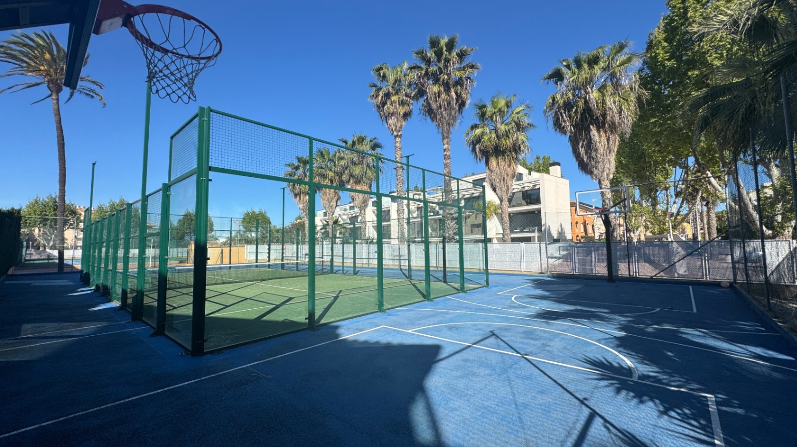 Outdoor sports area featuring a green paddle tennis court with glass enclosures and an adjacent blue multipurpose basketball court, surrounded by palm trees.