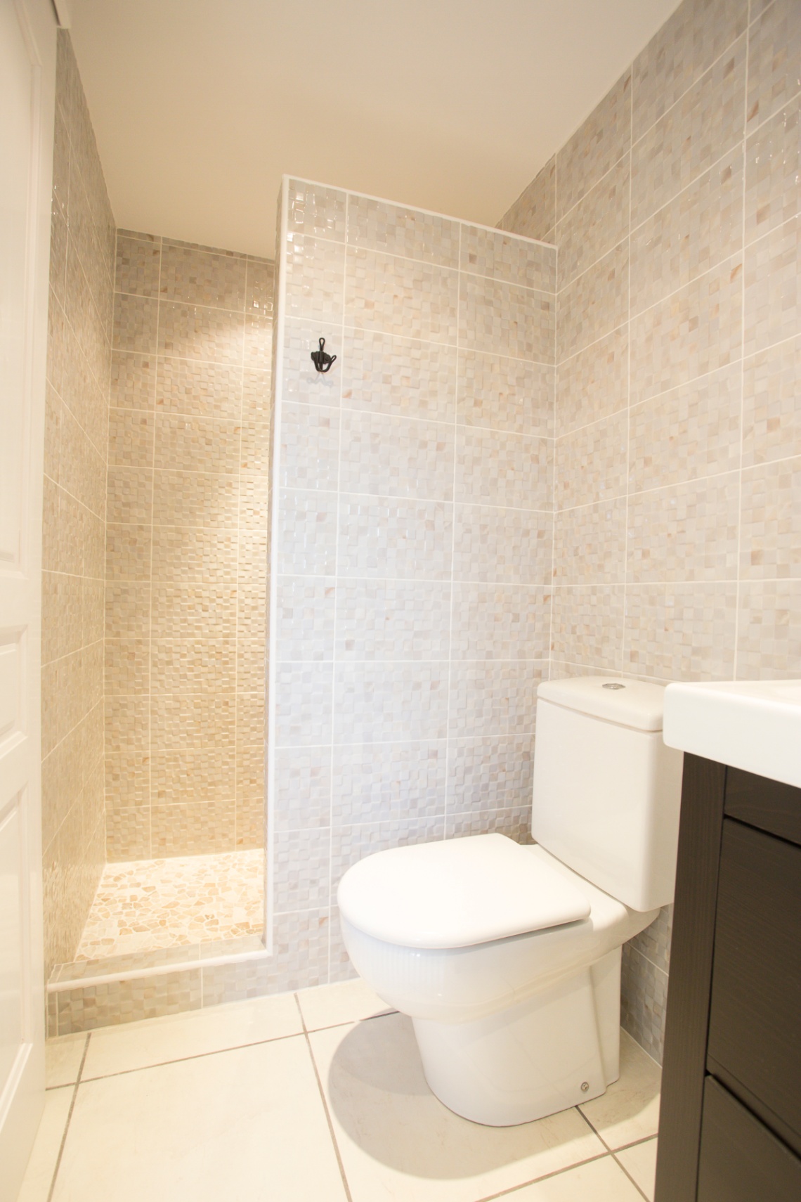Bathroom featuring a walk-in shower with beige mosaic tiling, a white toilet, and a dark wood vanity cabinet.