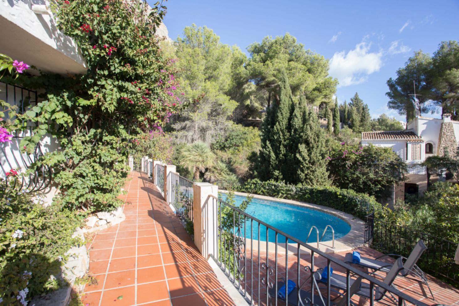 Elevated terracotta terrace with wrought-iron railings overlooking a kidney-shaped pool, surrounded by mature pine trees and lush Mediterranean vegetation.